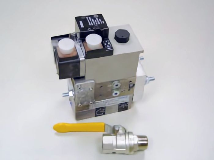 Газовая рампа MBVEF 407. De Dietrich 300001879